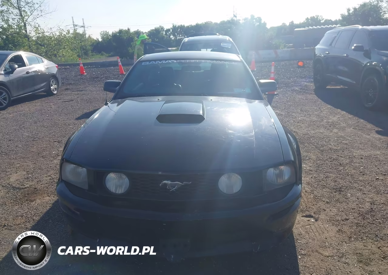 2007 Ford Mustang Gt Deluxe-Gt Premium VIN:1ZVFT82H375356312 - 12