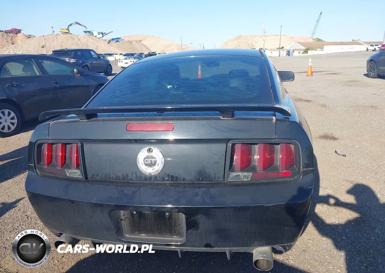 2007 Ford Mustang Gt Deluxe-Gt Premium VIN:1ZVFT82H375356312 - 16