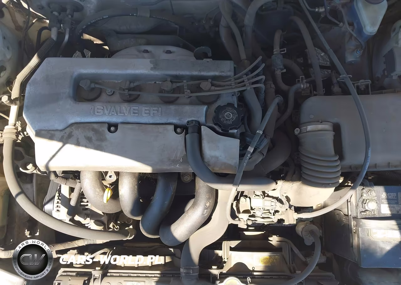 1998 Toyota Corolla Ce VIN:1NXBR12E7WZ120999 - 10