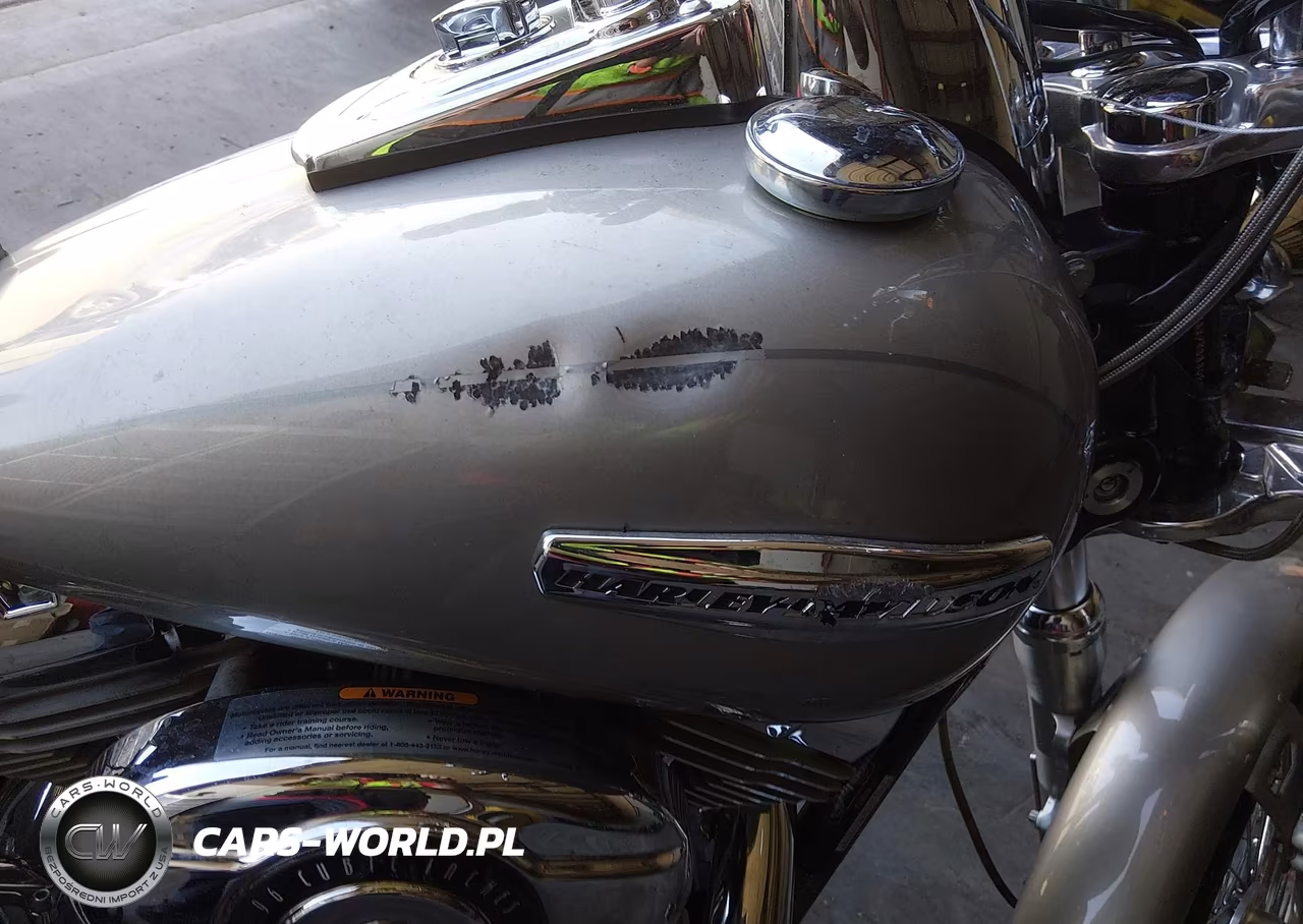 2007 Harley-Davidson Fxdc Daytona Custom VIN:1HD1GV43X7K333028 - 14