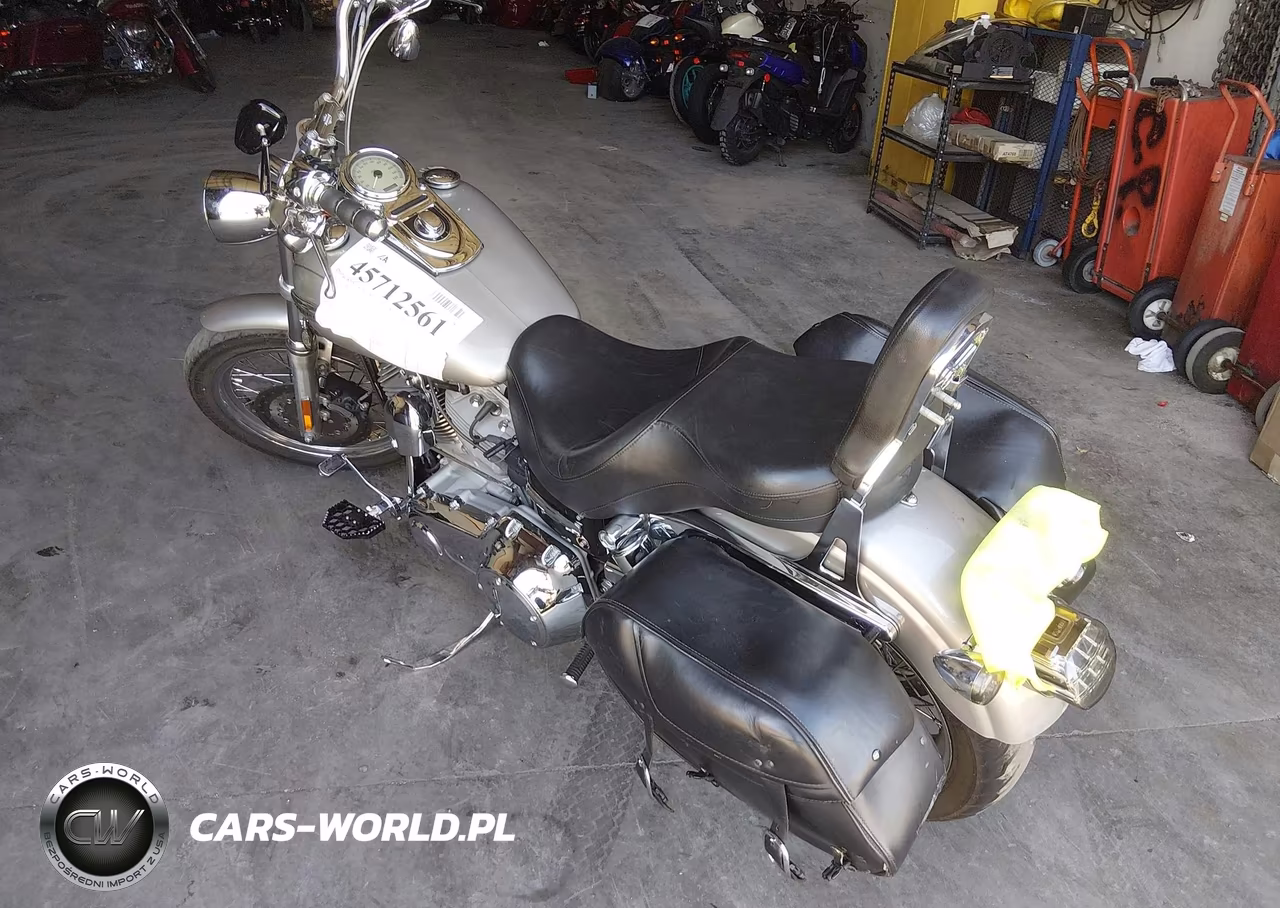 2007 Harley-Davidson Fxdc Daytona Custom VIN:1HD1GV43X7K333028 - 3