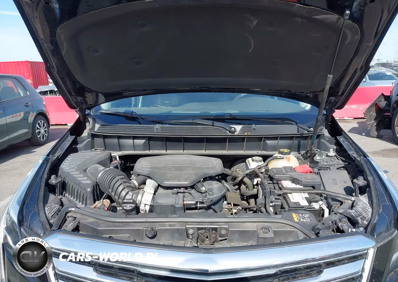 2019 Cadillac Xt5 Premium Luxury VIN:1GYKNFRS1KZ212691 - 10