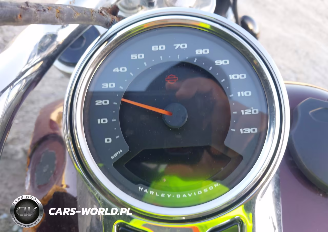 2018 Harley-Davidson Flsb Sport Glide VIN:1HD1YMJ29JC048485 - 7