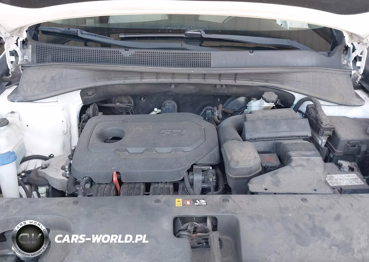 2016 Kia Sorento 2.4L Lx VIN:5XYPG4A39GG044531 - 10