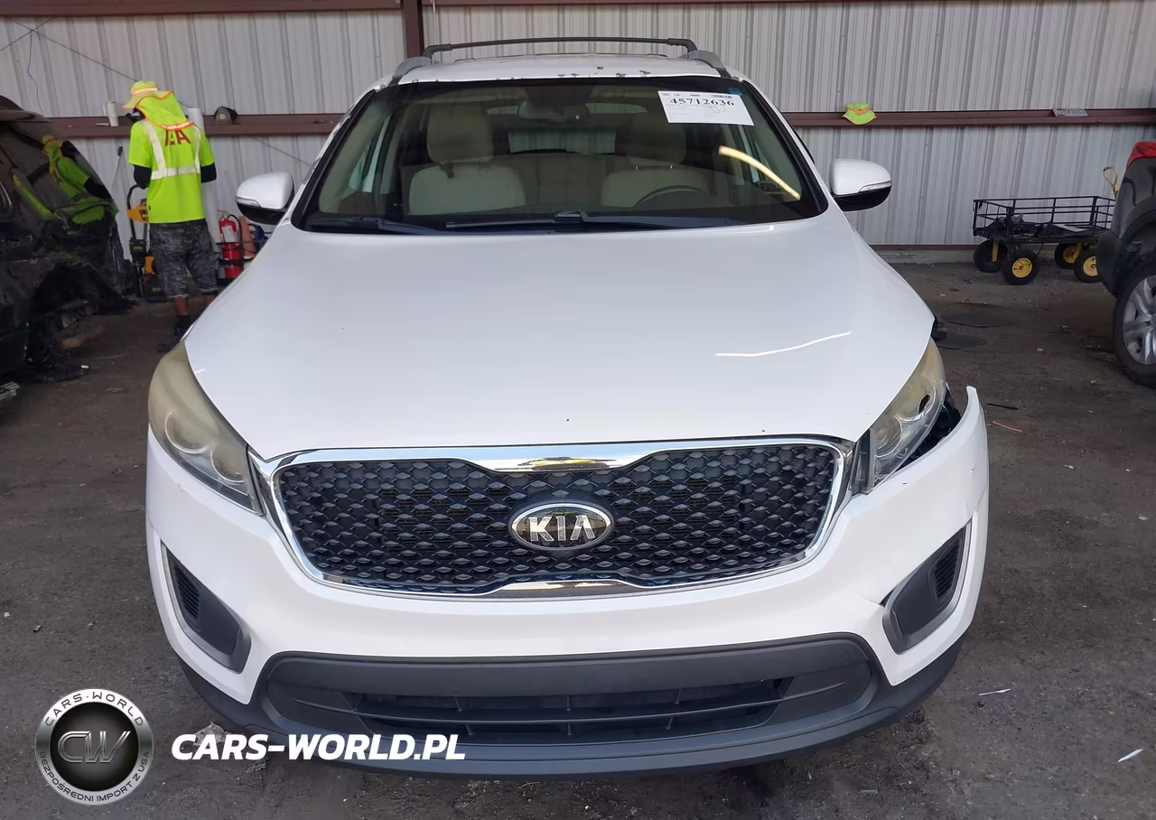 2016 Kia Sorento 2.4L Lx VIN:5XYPG4A39GG044531 - 12
