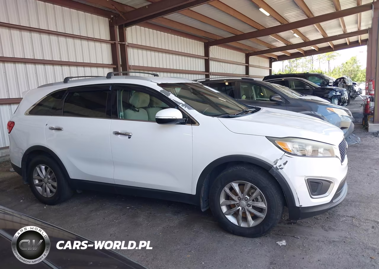 2016 Kia Sorento 2.4L Lx VIN:5XYPG4A39GG044531 - 13