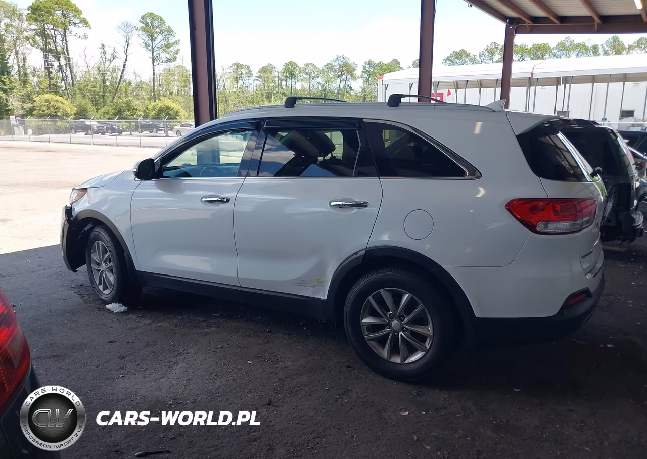 2016 Kia Sorento 2.4L Lx VIN:5XYPG4A39GG044531 - 14