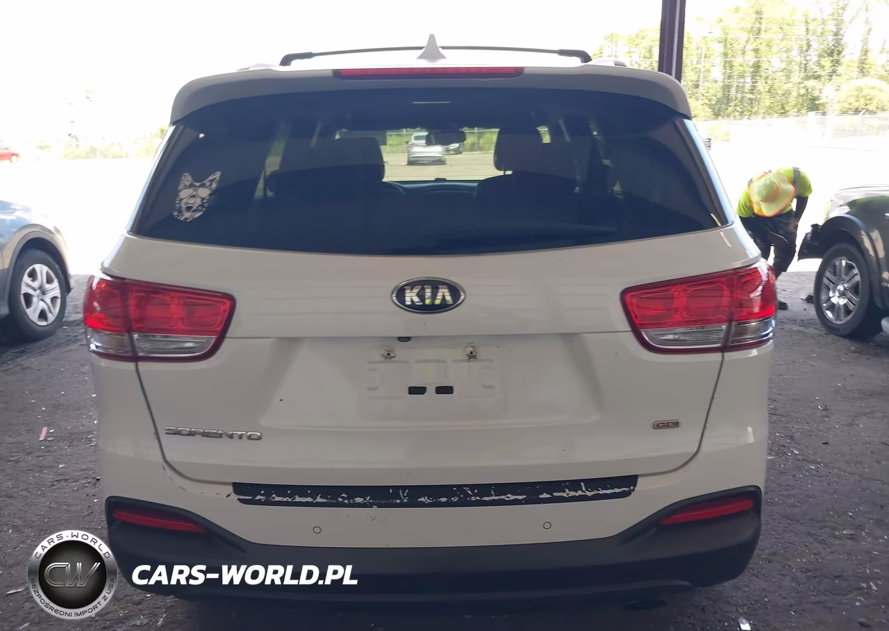 2016 Kia Sorento 2.4L Lx VIN:5XYPG4A39GG044531 - 16