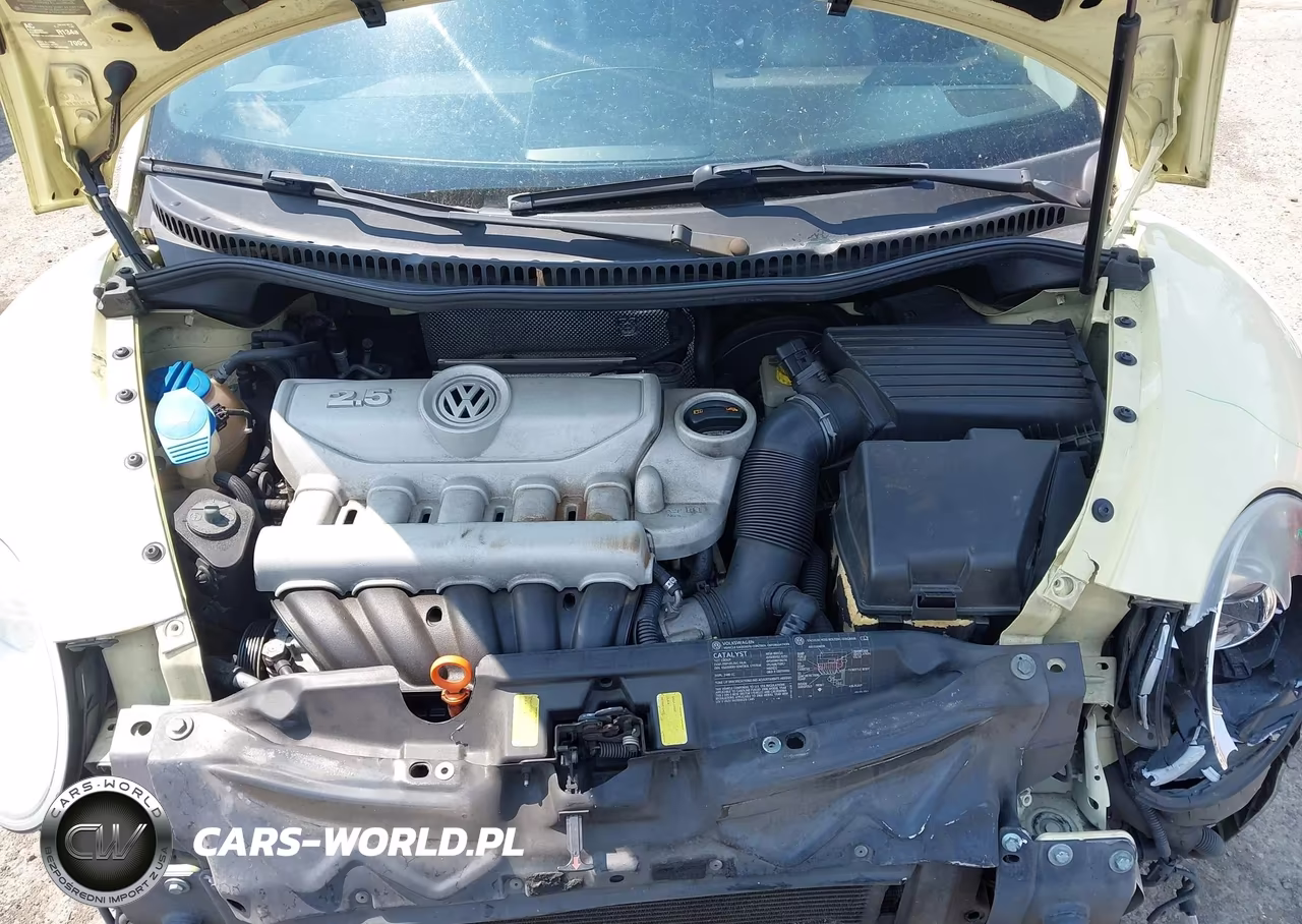 2006 Volkswagen New Beetle 2.5 VIN:3VWSF31Y46M330739 - 10