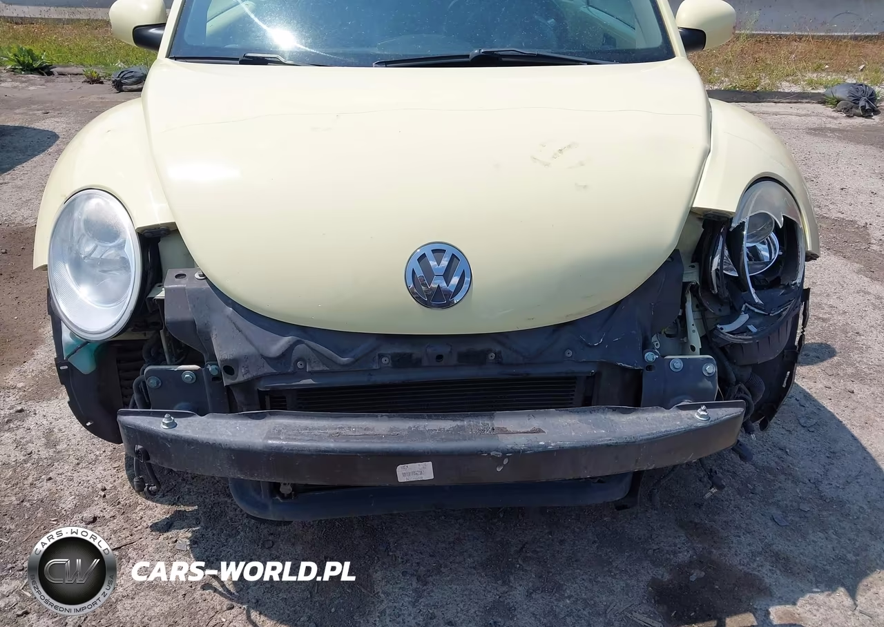 2006 Volkswagen New Beetle 2.5 VIN:3VWSF31Y46M330739 - 6