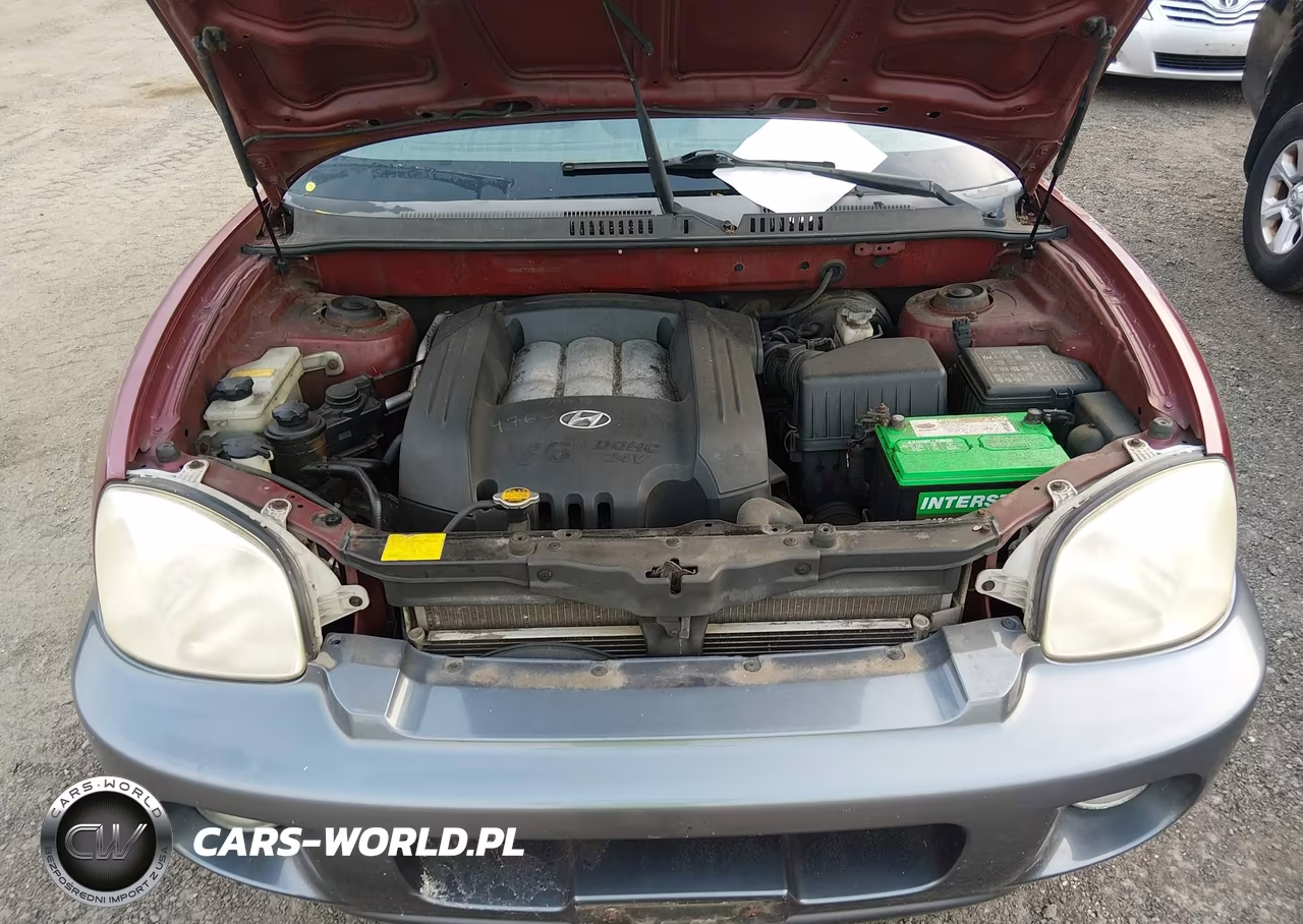 2003 Hyundai Santa Fe Gls-Lx VIN:KM8SC73D93U343325 - 10