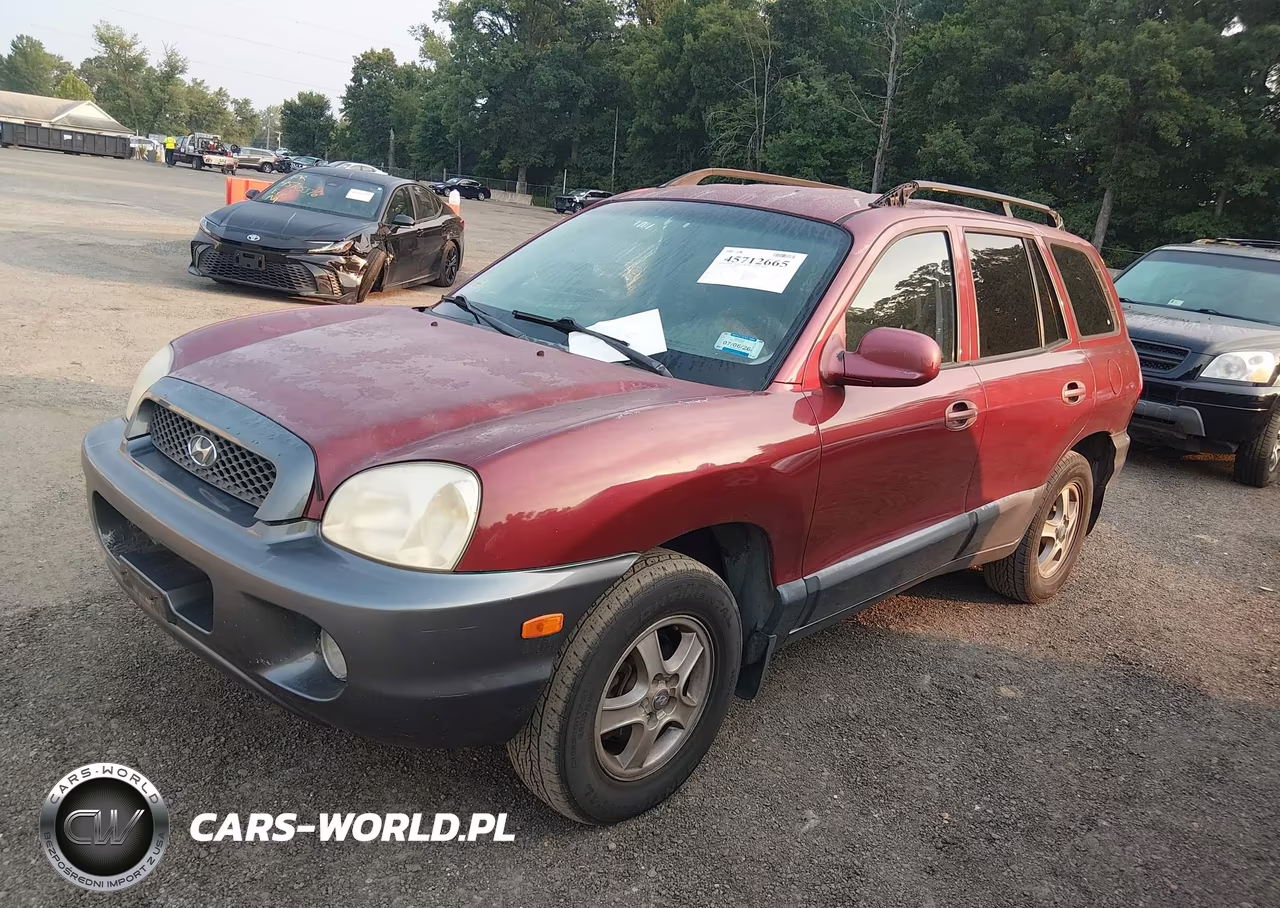 2003 Hyundai Santa Fe Gls-Lx VIN:KM8SC73D93U343325 - 2