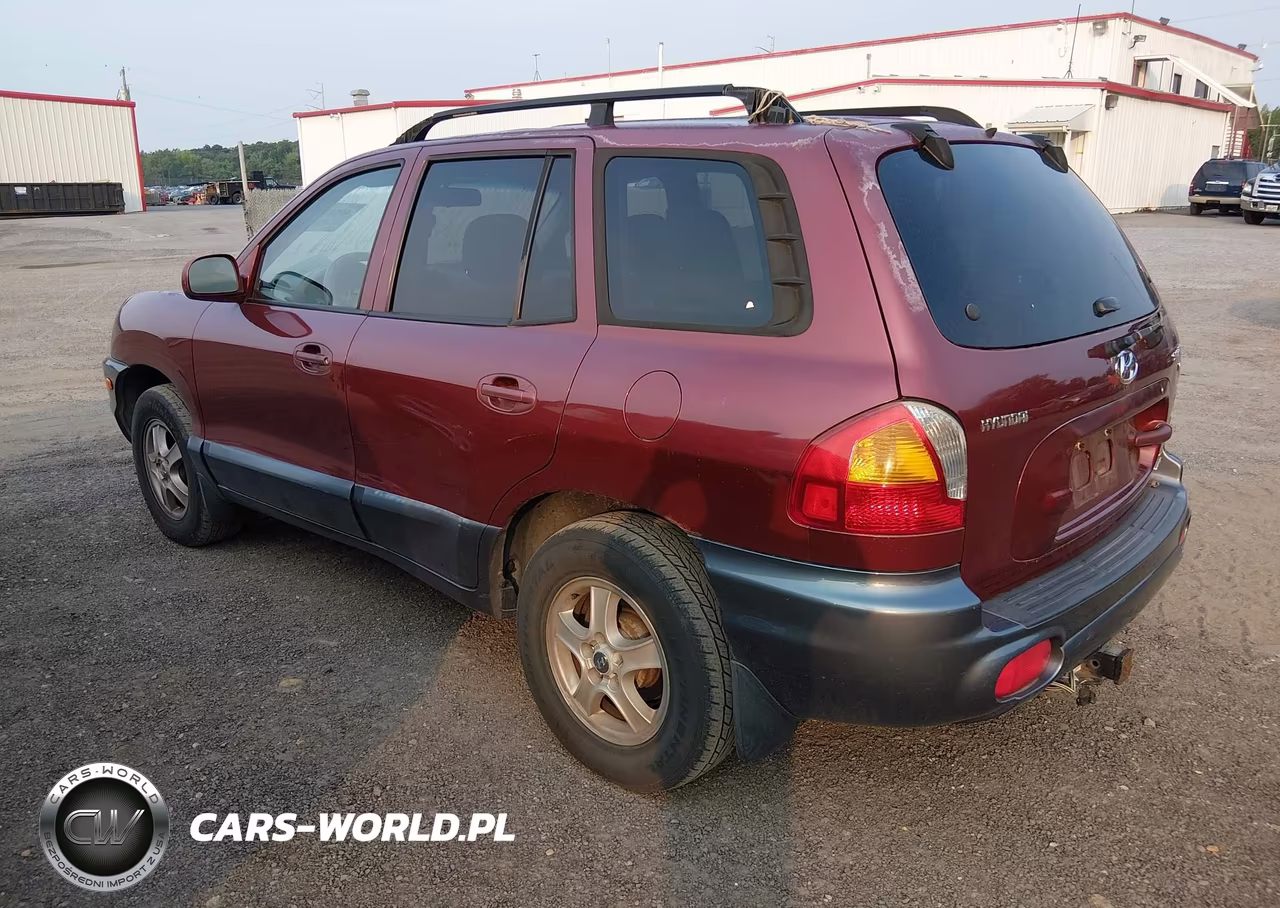 2003 Hyundai Santa Fe Gls-Lx VIN:KM8SC73D93U343325 - 3