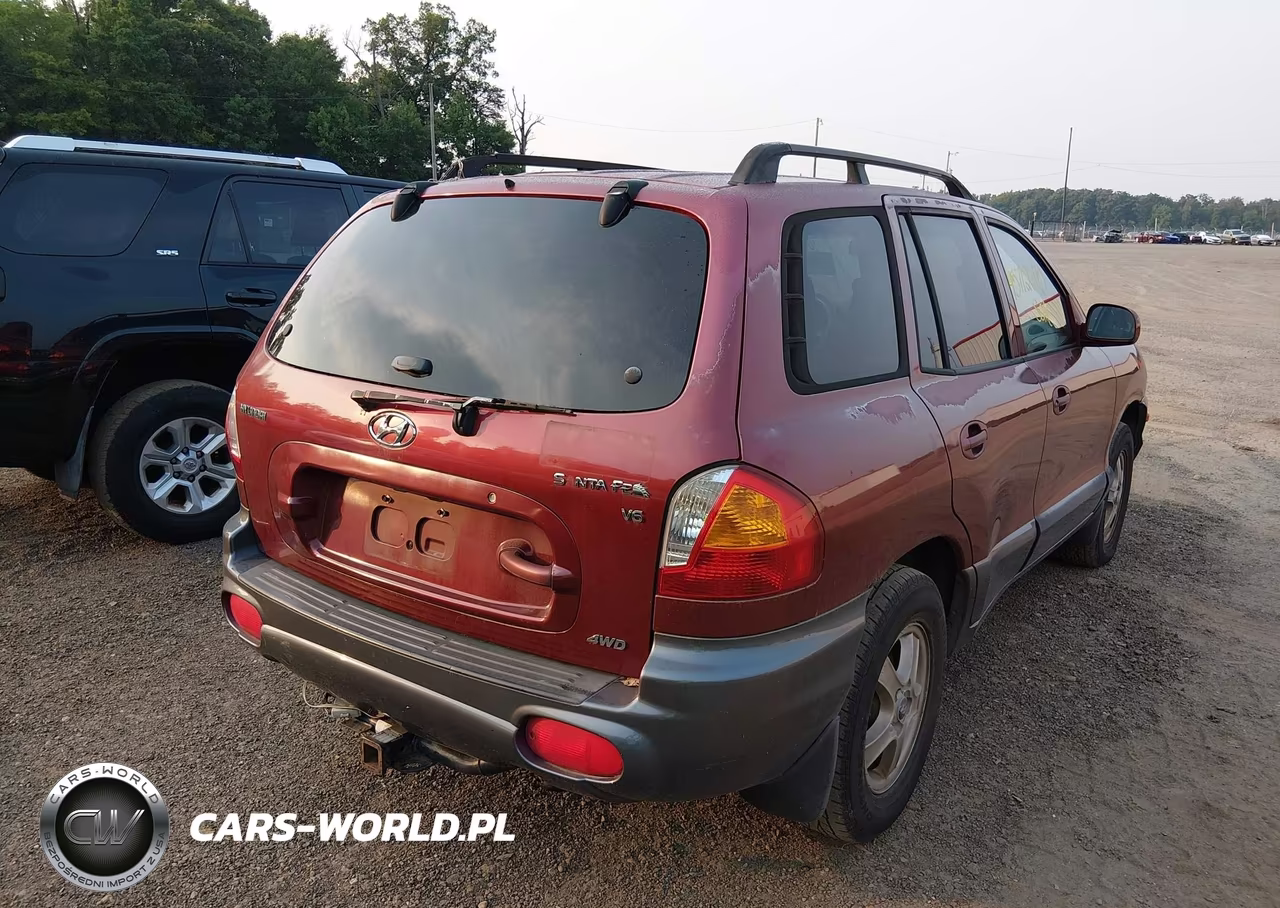 2003 Hyundai Santa Fe Gls-Lx VIN:KM8SC73D93U343325 - 4
