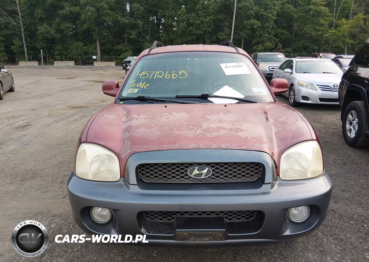 2003 Hyundai Santa Fe Gls-Lx VIN:KM8SC73D93U343325 - 6