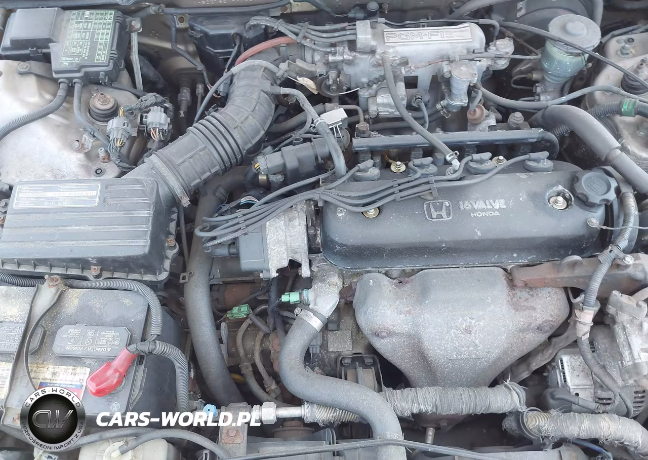1993 Honda Accord Lx VIN:1HGCB7657PA088411 - 10