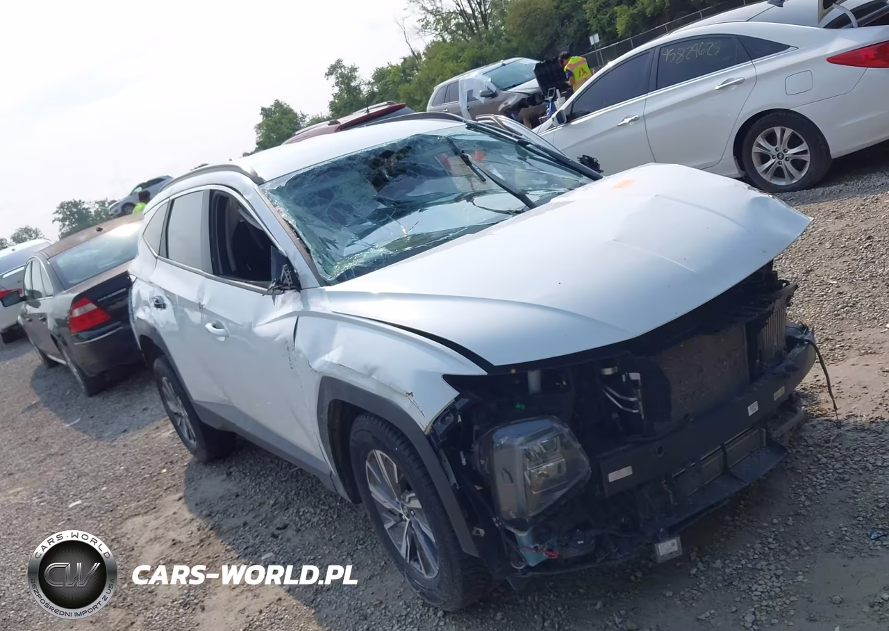 2024 Hyundai Tucson Hybrid Blue VIN:KM8JBCD16RU198636 - 13