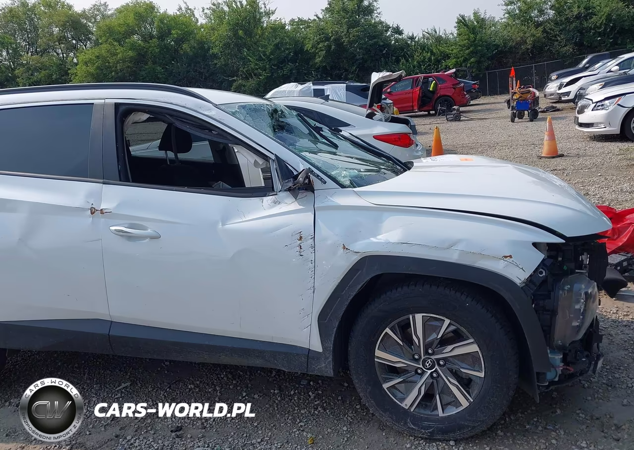 2024 Hyundai Tucson Hybrid Blue VIN:KM8JBCD16RU198636 - 14