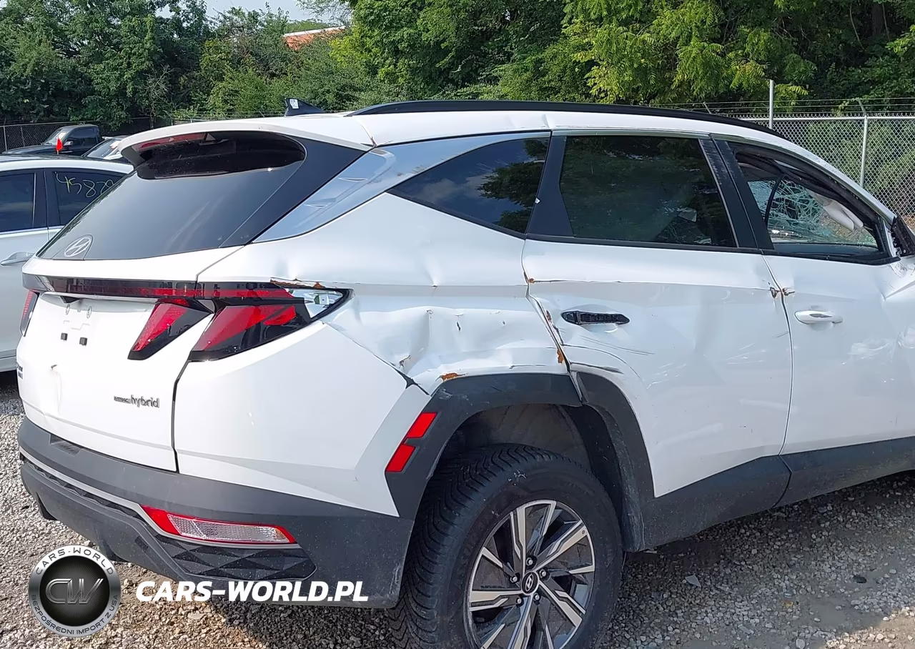 2024 Hyundai Tucson Hybrid Blue VIN:KM8JBCD16RU198636 - 16