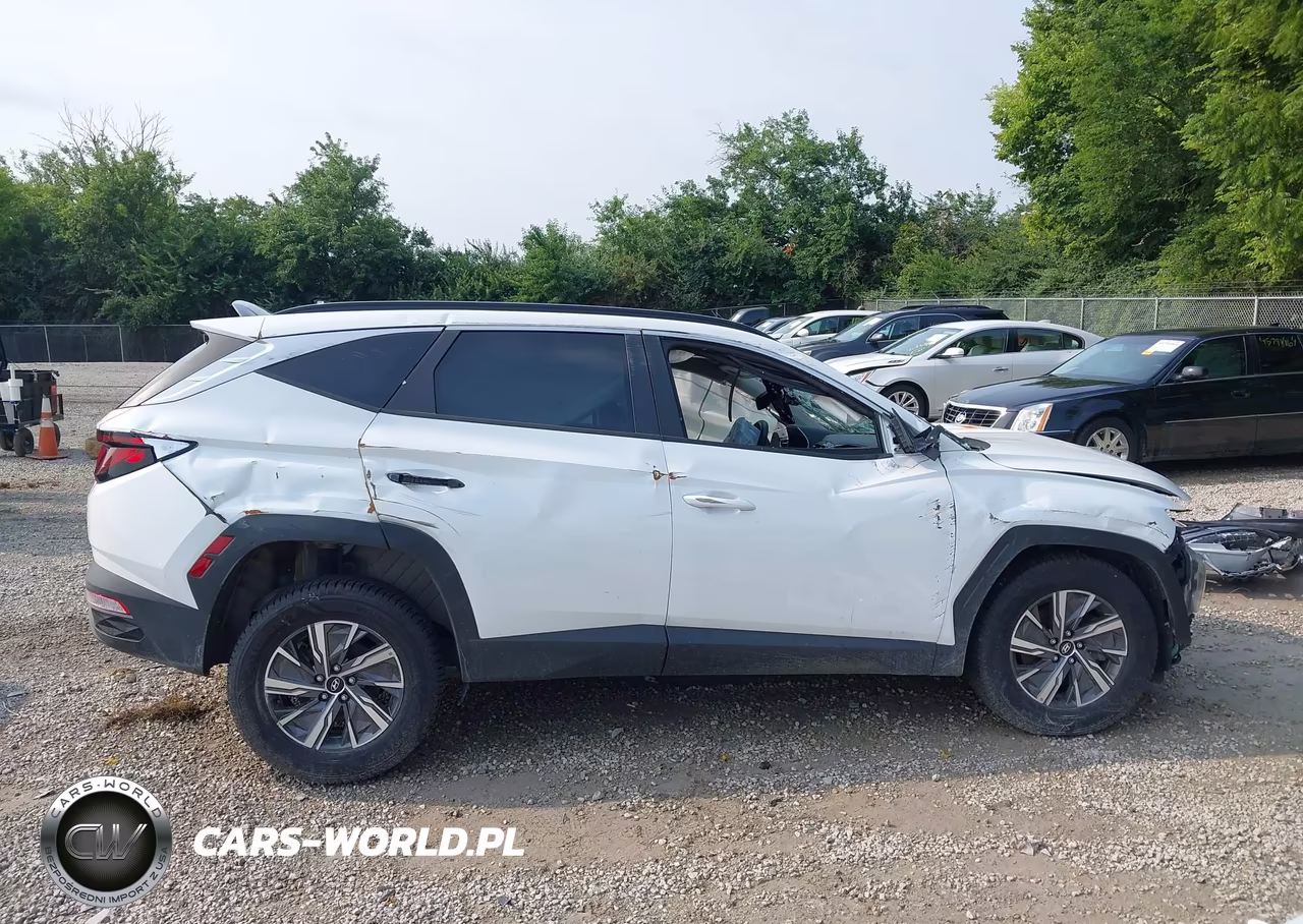 2024 Hyundai Tucson Hybrid Blue VIN:KM8JBCD16RU198636 - 18