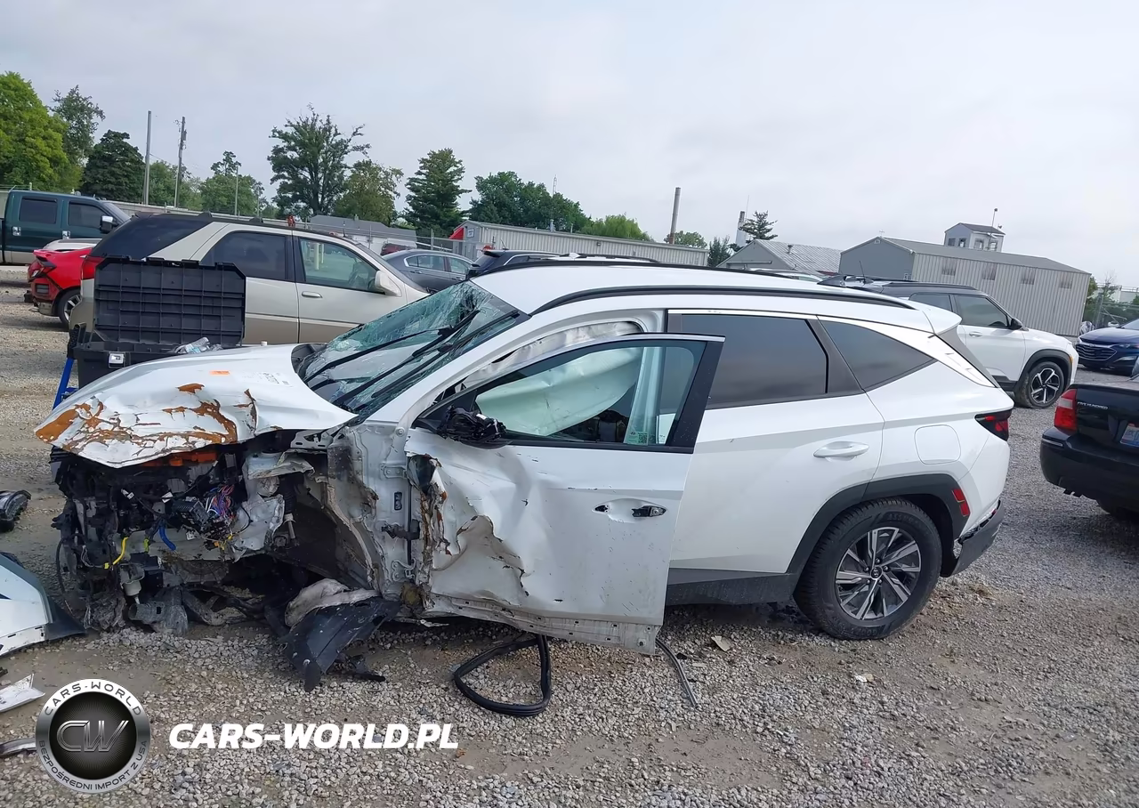 2024 Hyundai Tucson Hybrid Blue VIN:KM8JBCD16RU198636 - 19