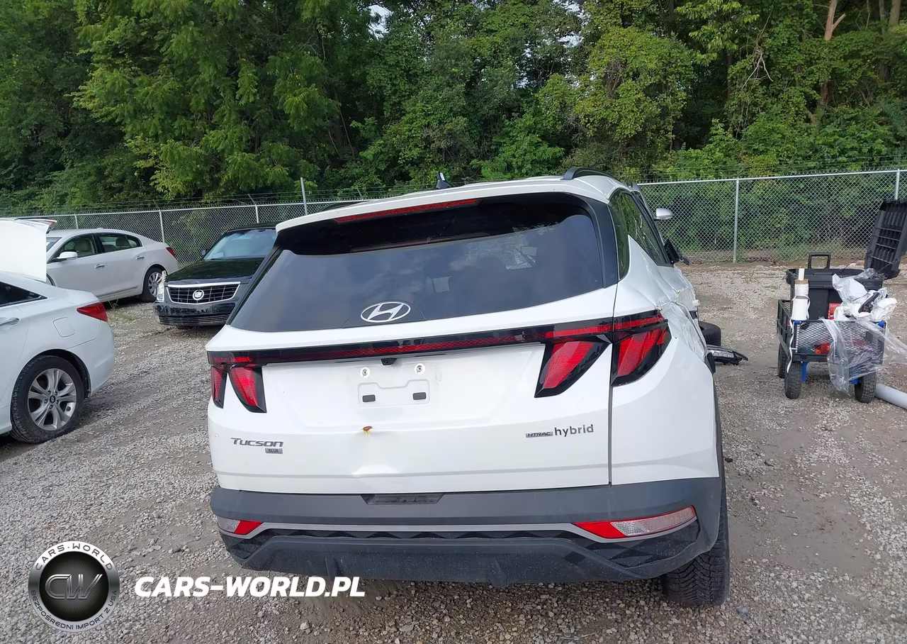 2024 Hyundai Tucson Hybrid Blue VIN:KM8JBCD16RU198636 - 21