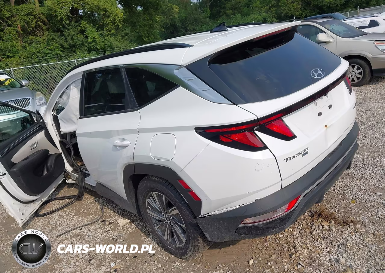 2024 Hyundai Tucson Hybrid Blue VIN:KM8JBCD16RU198636 - 3