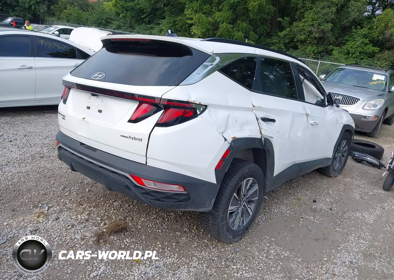 2024 Hyundai Tucson Hybrid Blue VIN:KM8JBCD16RU198636 - 4
