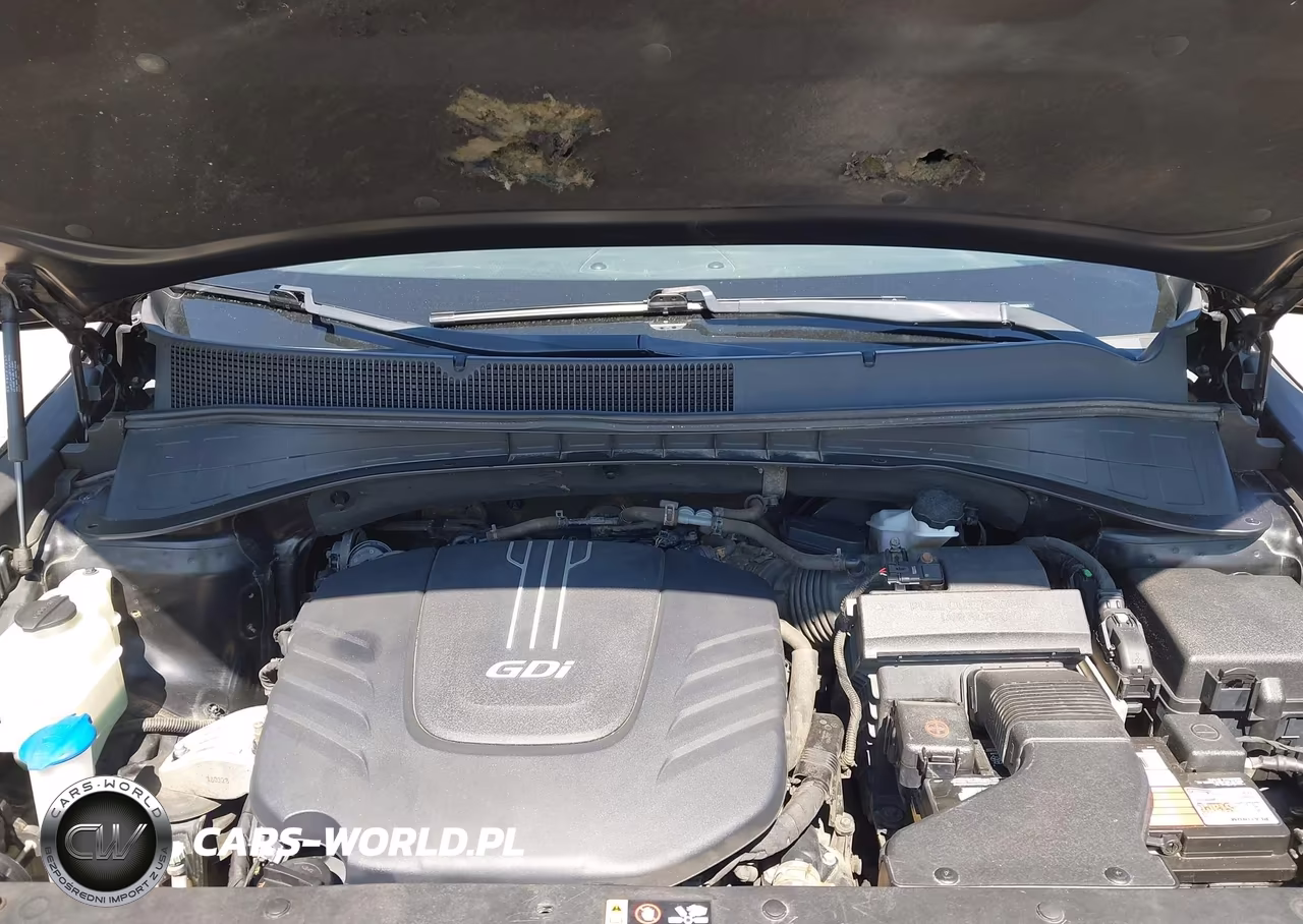 2017 Kia Sorento 3.3L Lx VIN:5XYPGDA5XHG204824 - 10