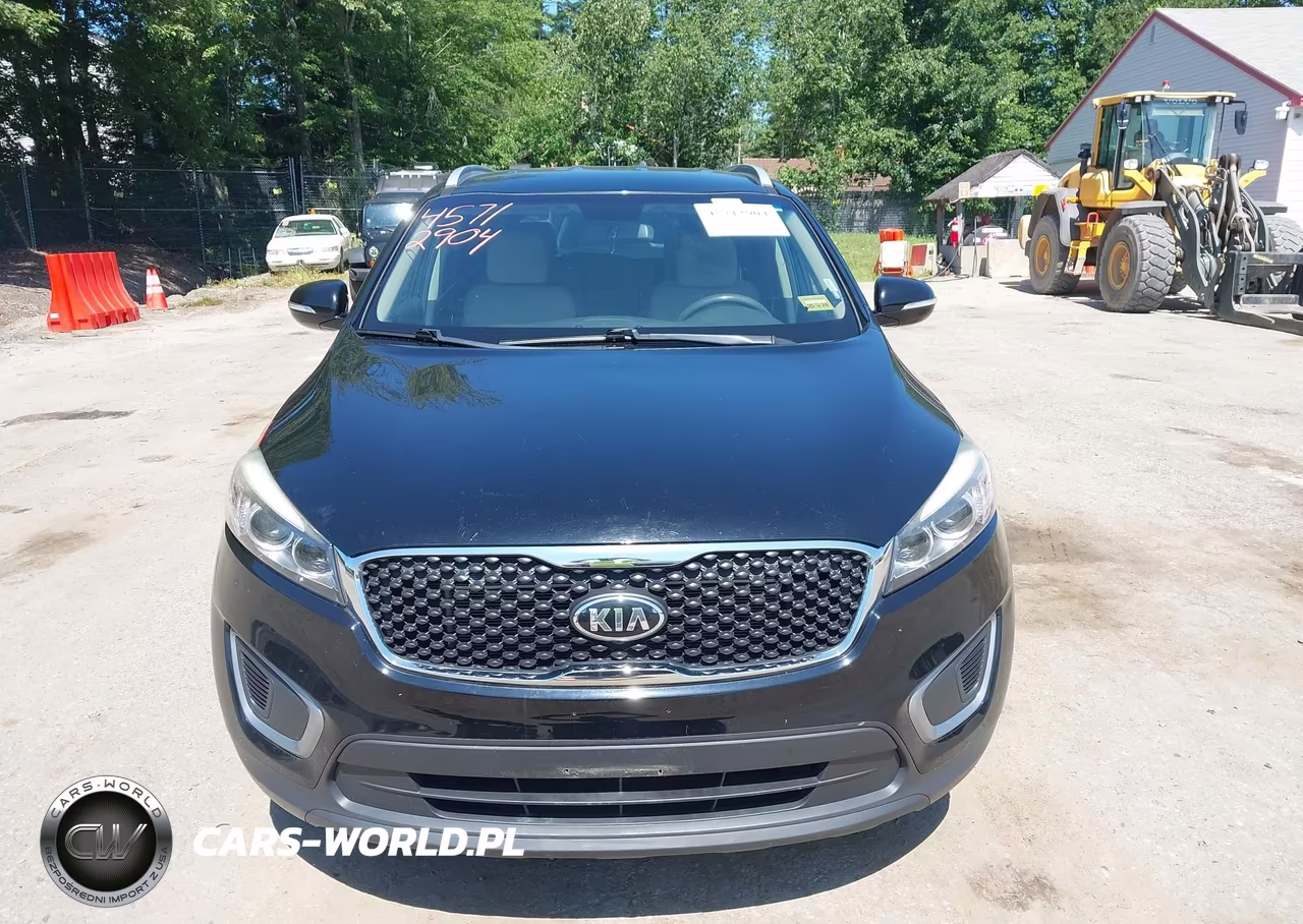 2017 Kia Sorento 3.3L Lx VIN:5XYPGDA5XHG204824 - 12