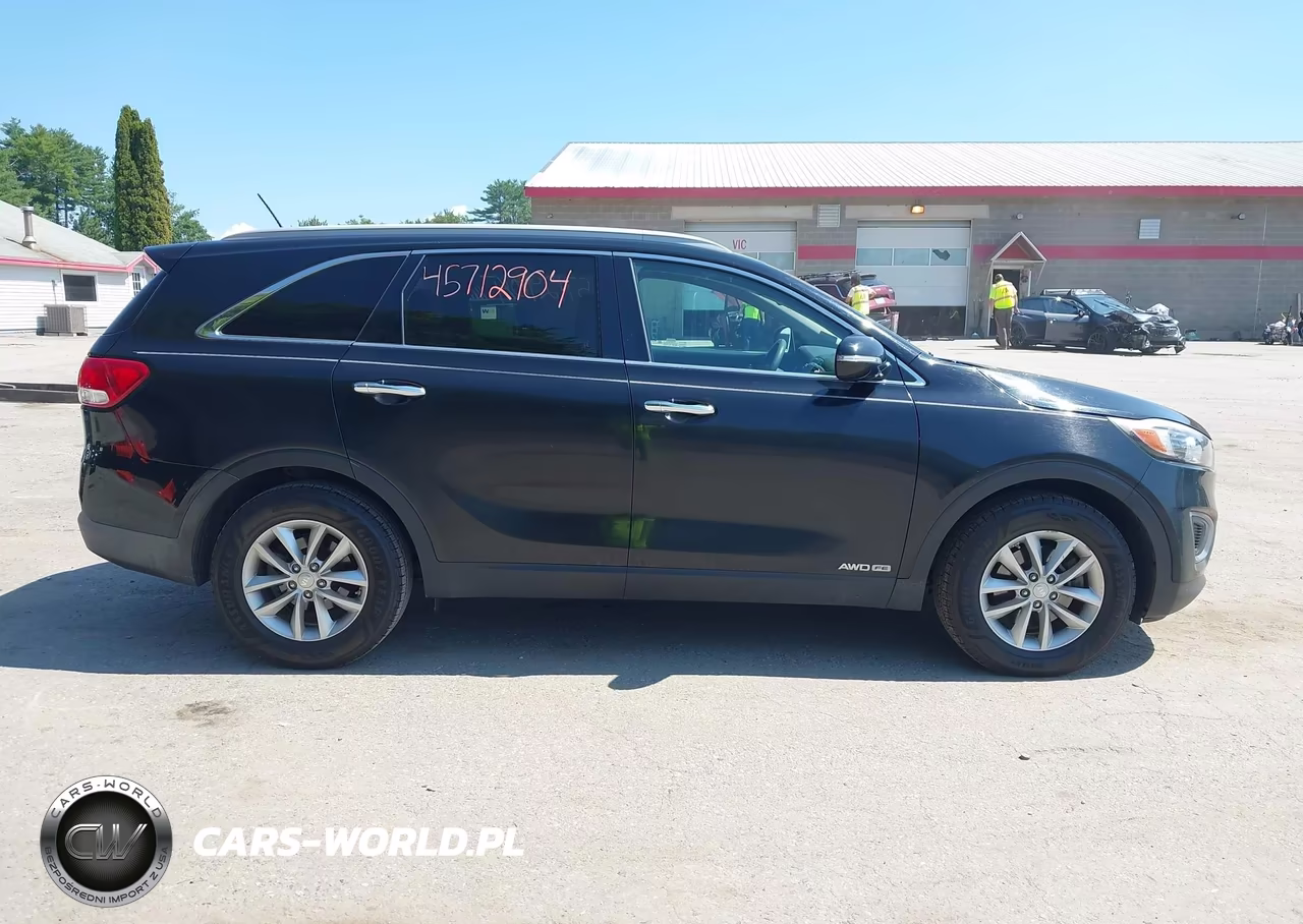 2017 Kia Sorento 3.3L Lx VIN:5XYPGDA5XHG204824 - 13