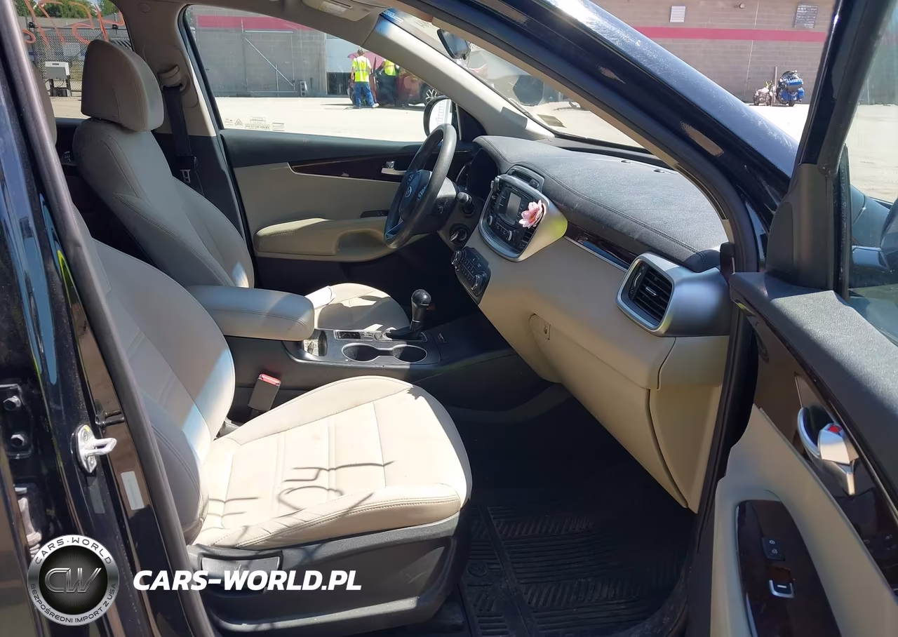 2017 Kia Sorento 3.3L Lx VIN:5XYPGDA5XHG204824 - 5
