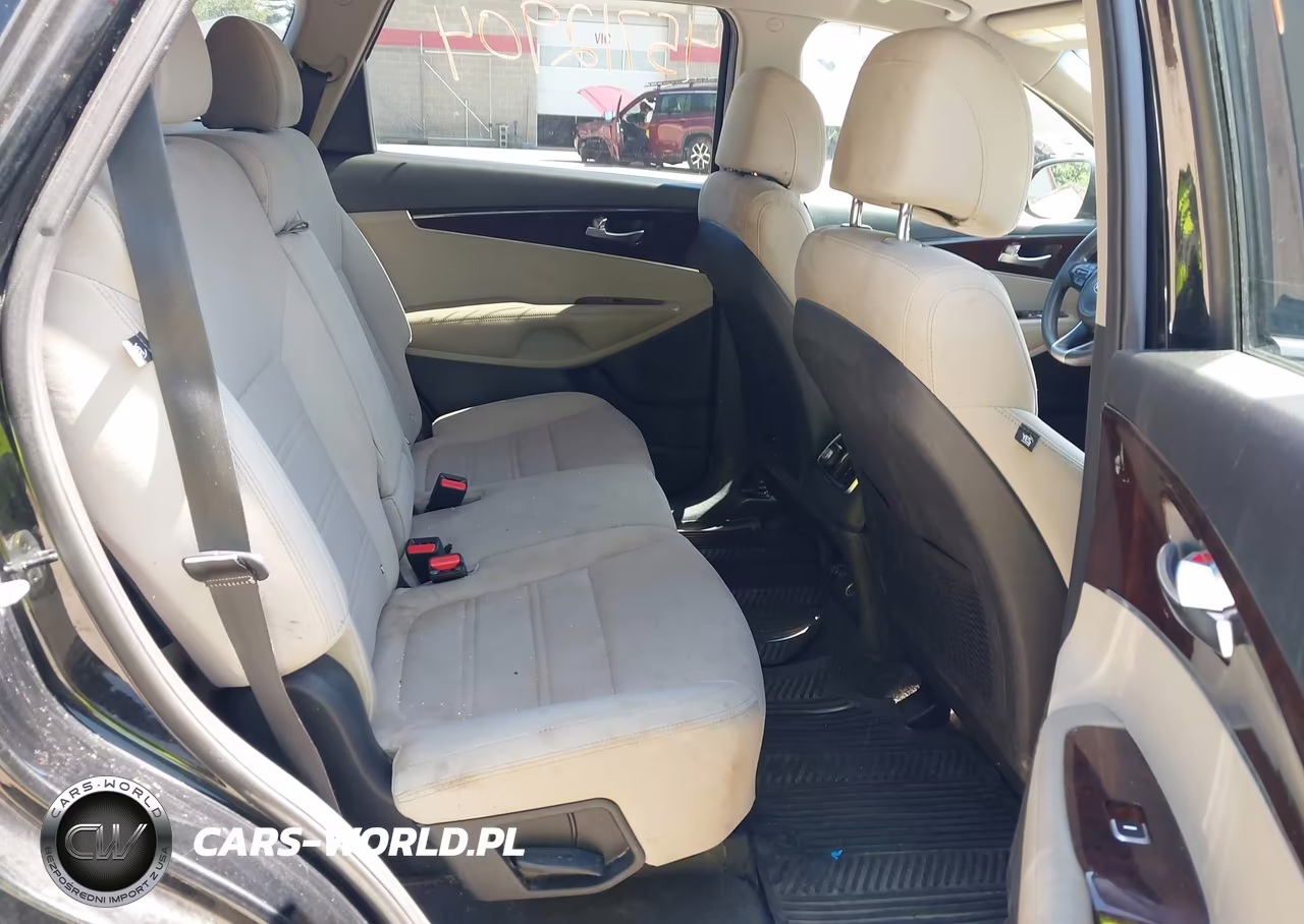 2017 Kia Sorento 3.3L Lx VIN:5XYPGDA5XHG204824 - 8