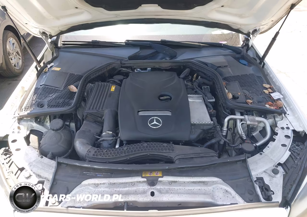 2016 Mercedes-Benz C 300 VIN:55SWF4JB8GU157978 - 10