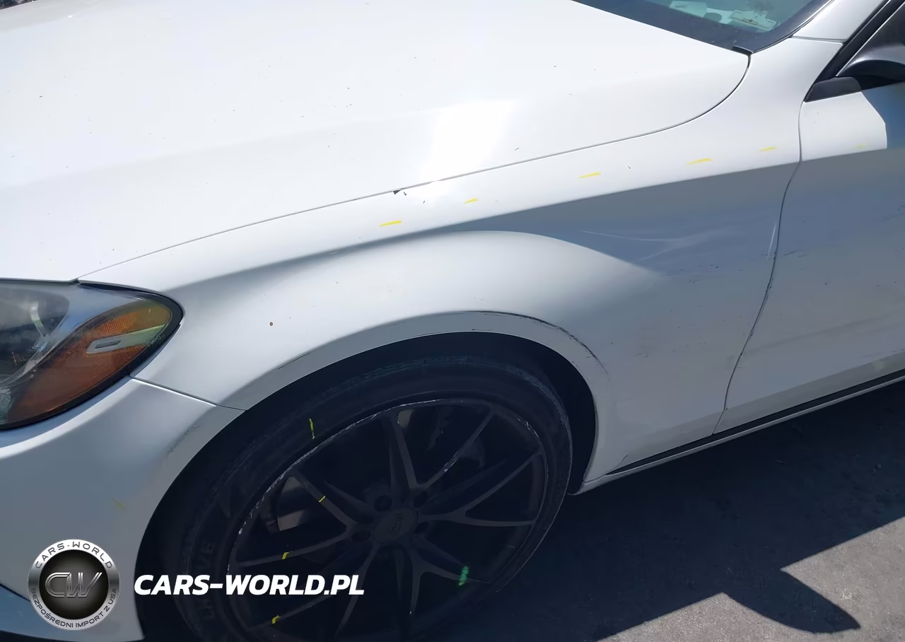 2016 Mercedes-Benz C 300 VIN:55SWF4JB8GU157978 - 19
