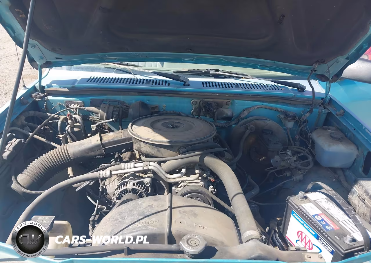 1995 Dodge Dakota VIN:1B7GG23X2SW953257 - 10