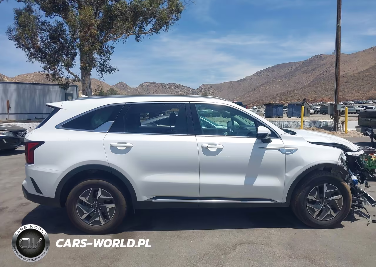2024 Kia Sorento Hybrid Ex VIN:KNDRH4LG0R5260222 - 13