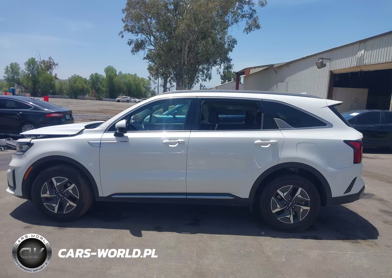 2024 Kia Sorento Hybrid Ex VIN:KNDRH4LG0R5260222 - 14