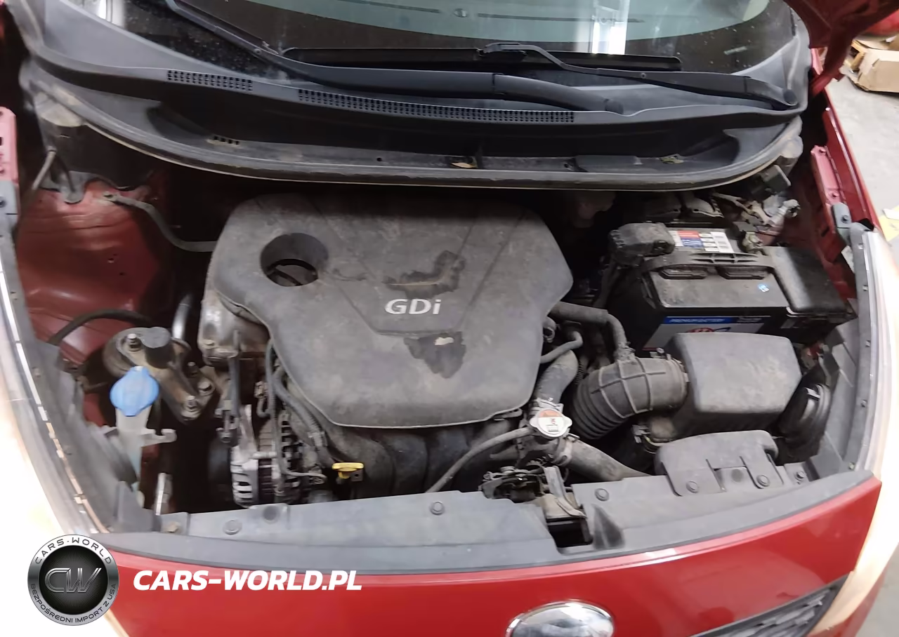 2014 Kia Rio Lx VIN:KNADM5A30E6415929 - 10