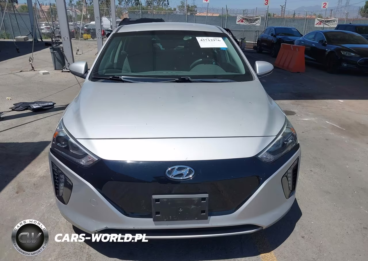 2019 Hyundai Ioniq Electric VIN:KMHC75LH6KU037861 - 12