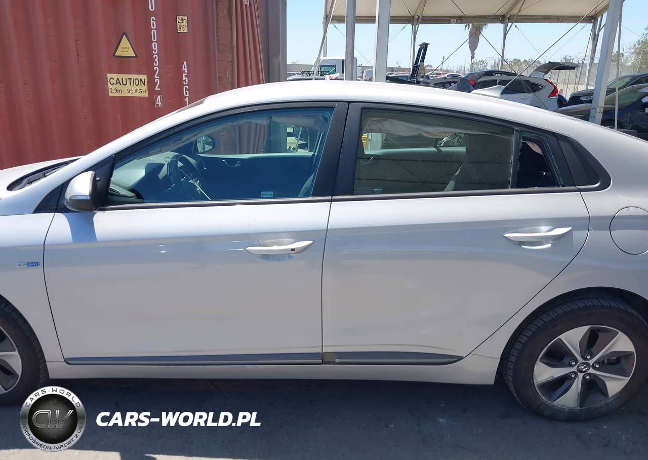 2019 Hyundai Ioniq Electric VIN:KMHC75LH6KU037861 - 14