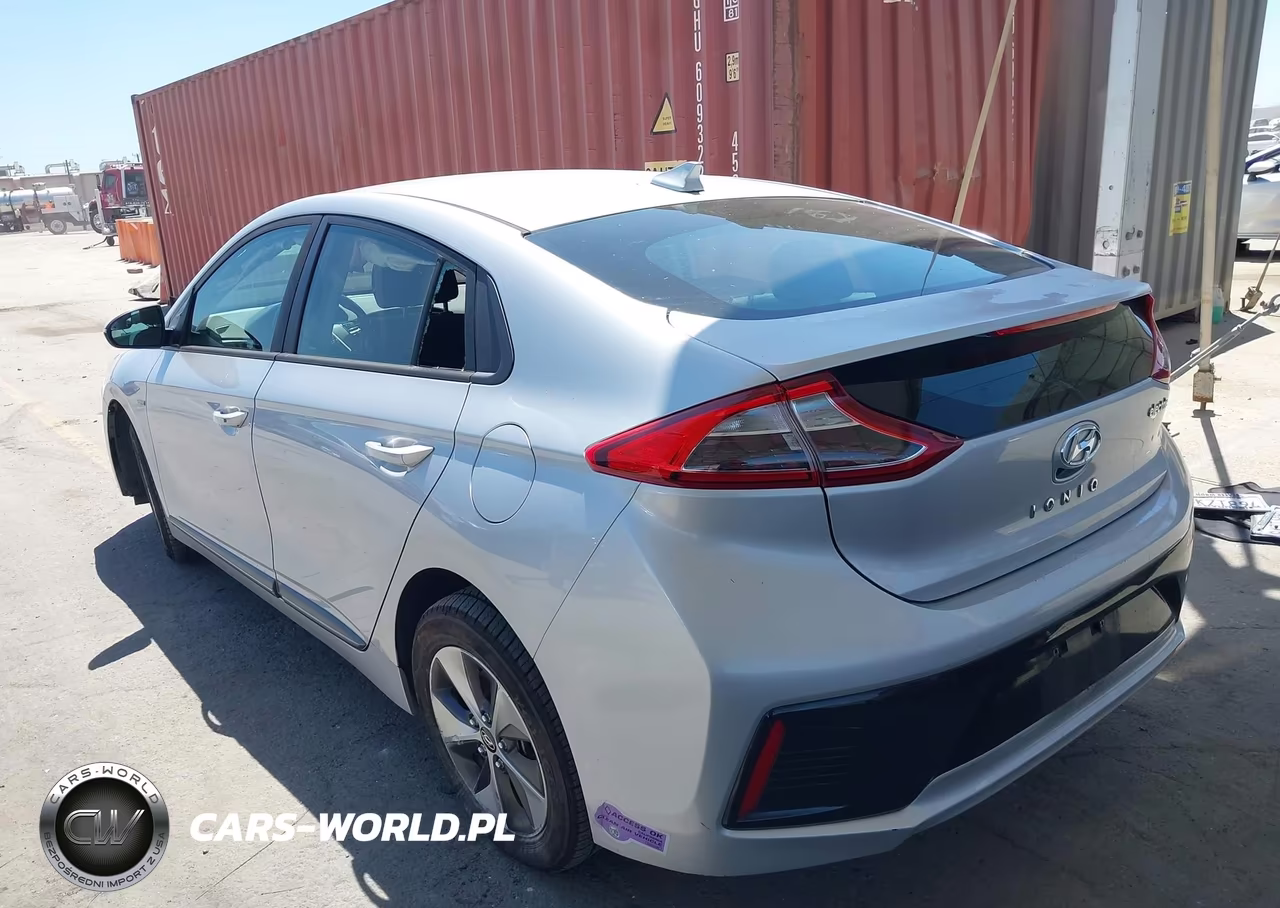 2019 Hyundai Ioniq Electric VIN:KMHC75LH6KU037861 - 3