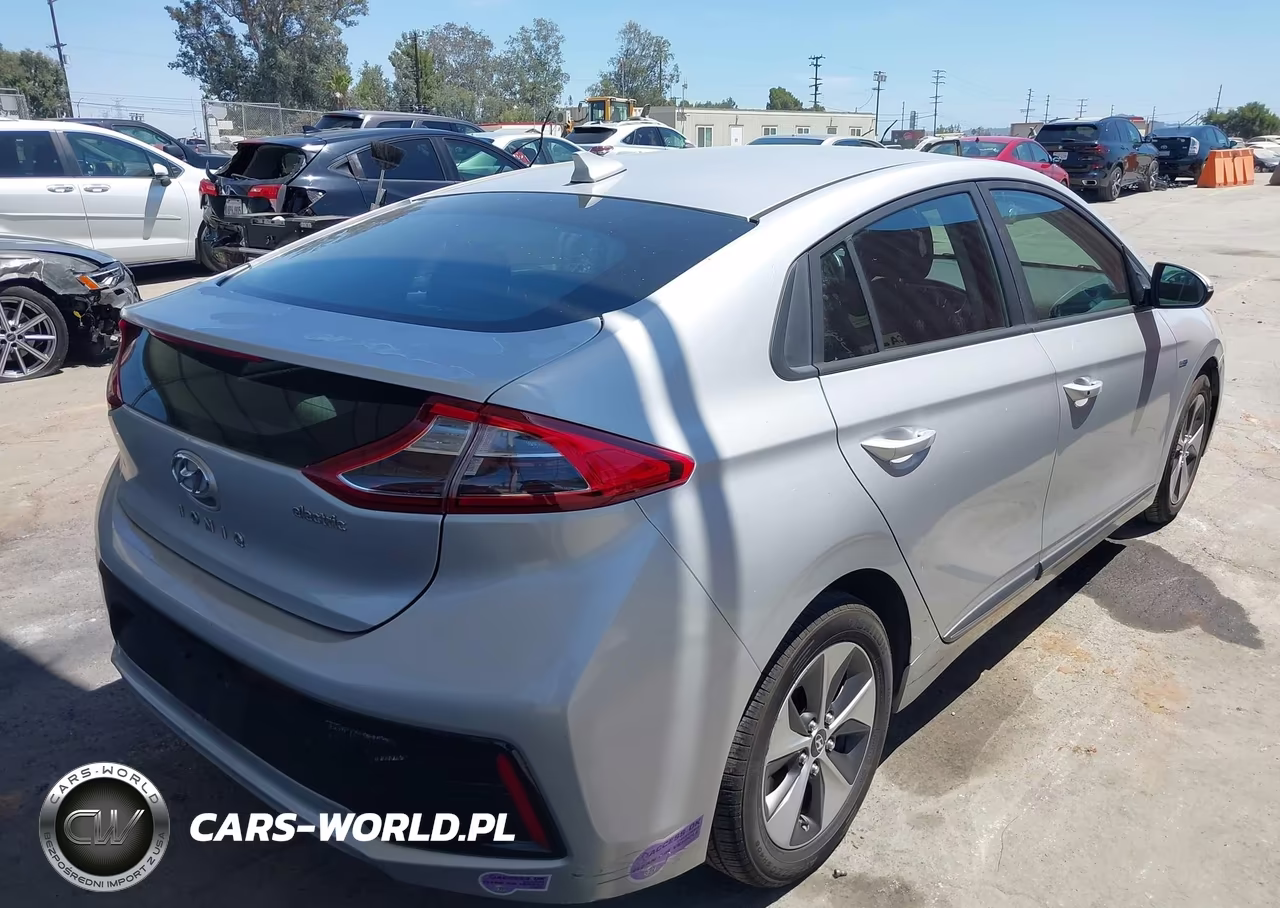 2019 Hyundai Ioniq Electric VIN:KMHC75LH6KU037861 - 4