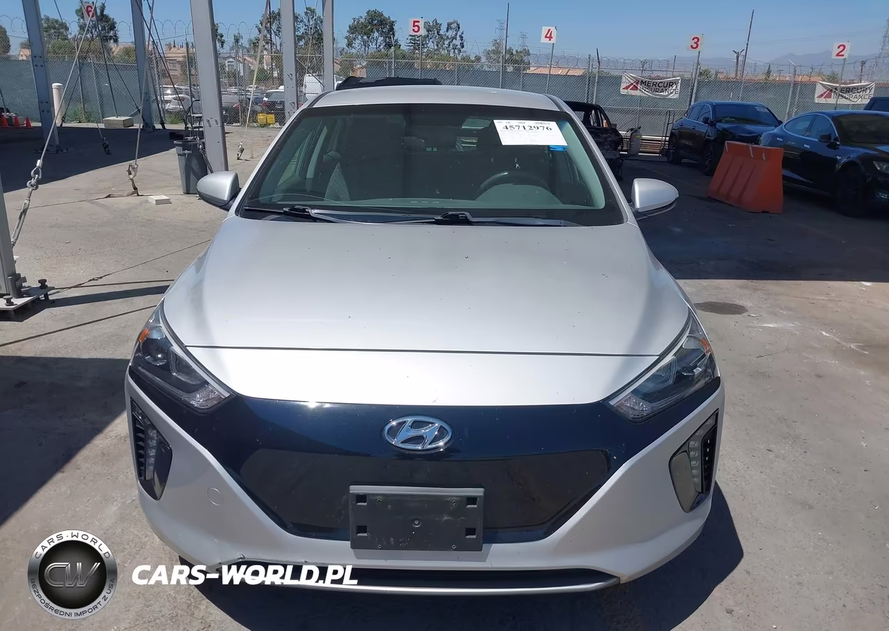 2019 Hyundai Ioniq Electric VIN:KMHC75LH6KU037861 - 6