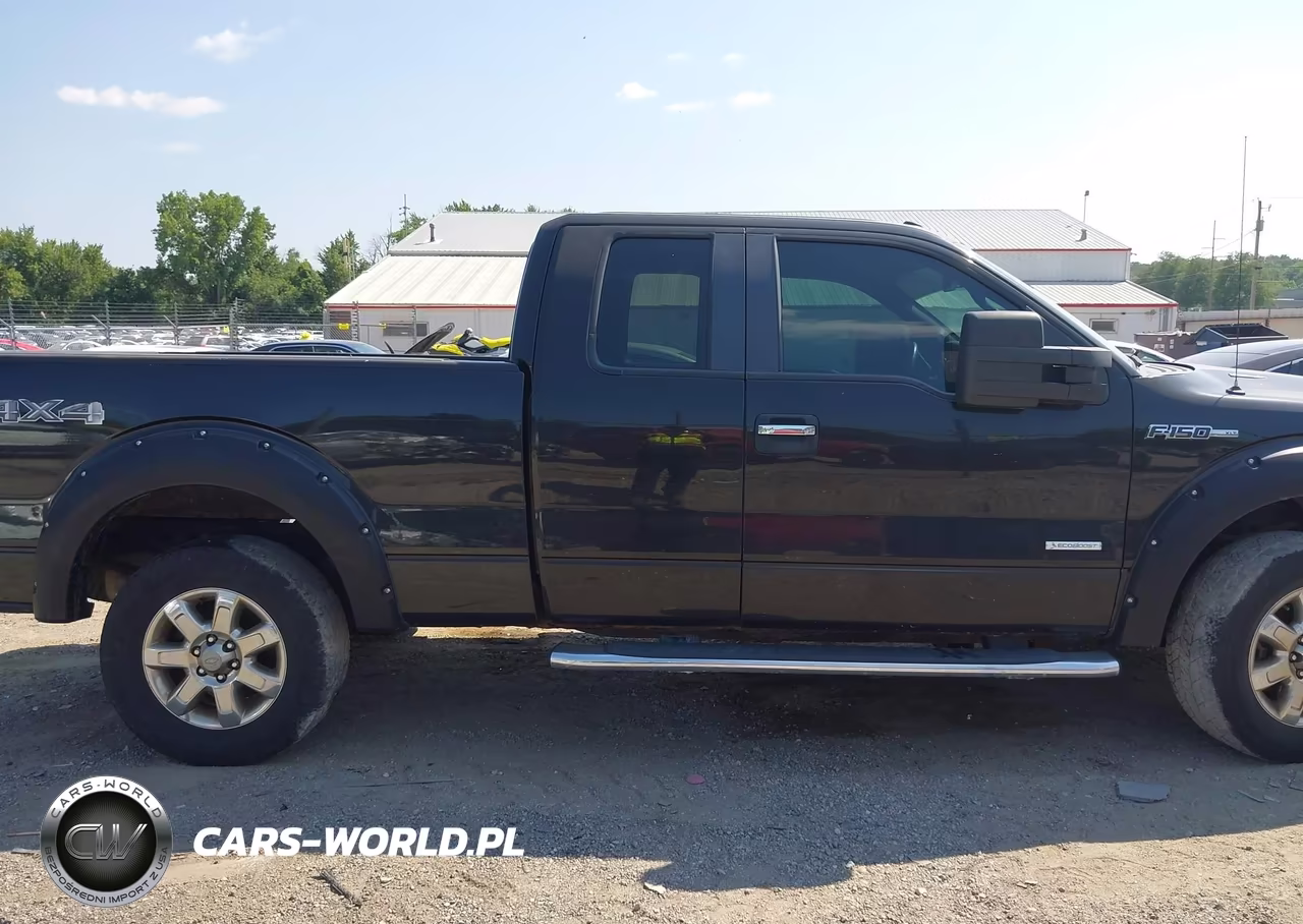 2013 Ford F-150 Xlt VIN:1FTFX1ET1DKD78269 - 13