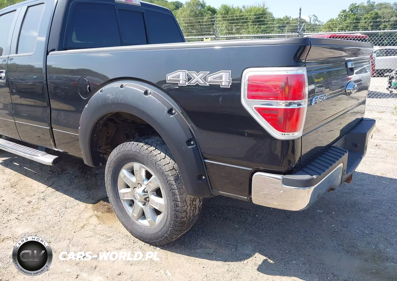 2013 Ford F-150 Xlt VIN:1FTFX1ET1DKD78269 - 3