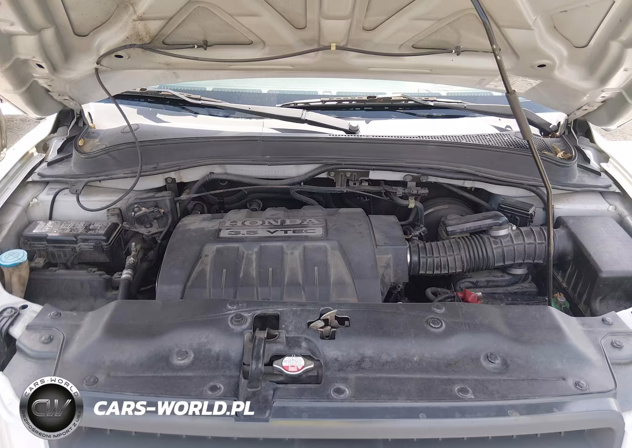 2005 Honda Pilot Lx VIN:2HKYF18105H551916 - 10