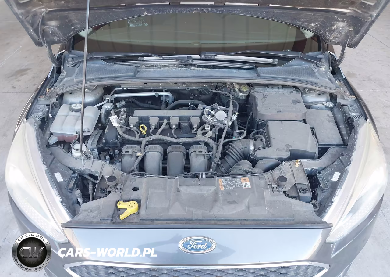 2016 Ford Focus Se VIN:1FADP3K22GL352038 - 10