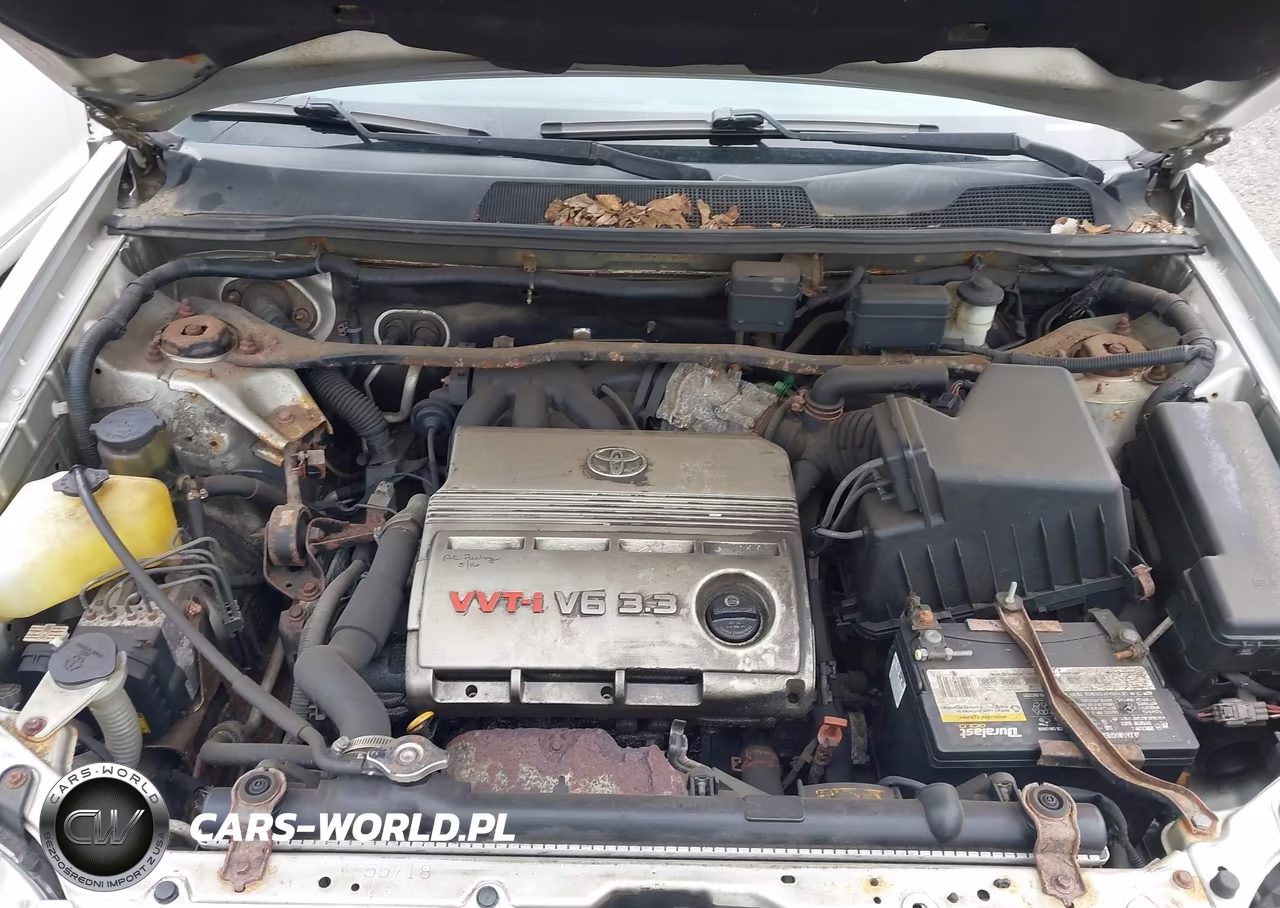 2004 Toyota Highlander V6 VIN:JTEGP21A440038944 - 10