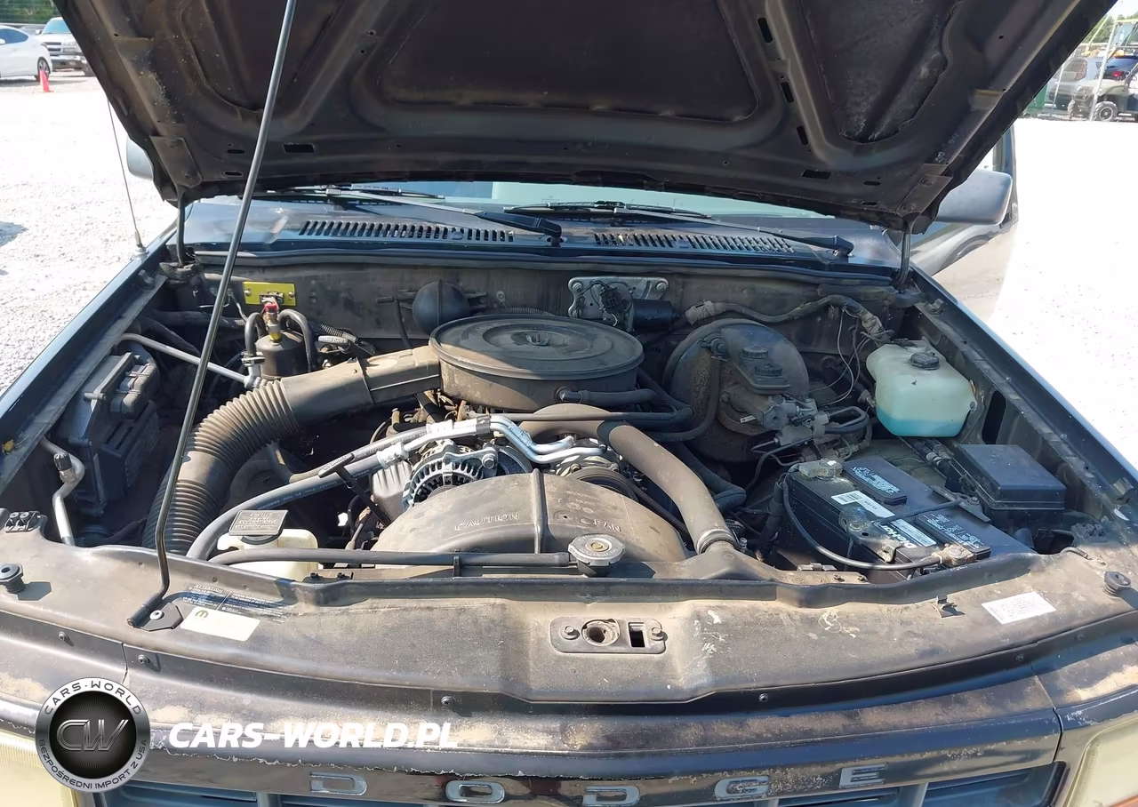 1995 Dodge Dakota VIN:1B7FL26X1SW905686 - 10